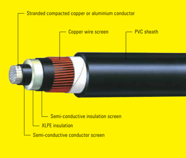Figure 4 – Cable’s diagram