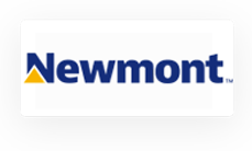 L'immagine mostra il logo Newmont con il nome della società in lettere blu e un accento triangolare giallo su sfondo bianco.